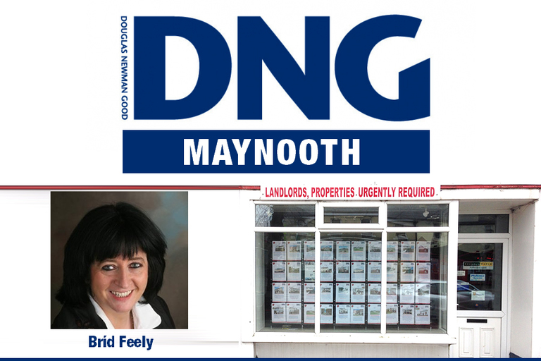 Tablet maynooth buzz web profile dngj